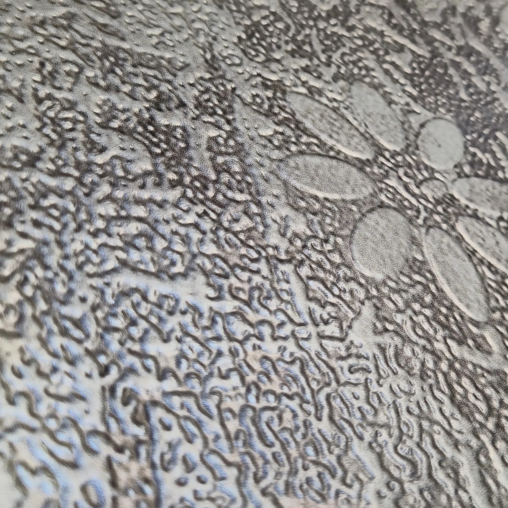 Decoración digital 3D