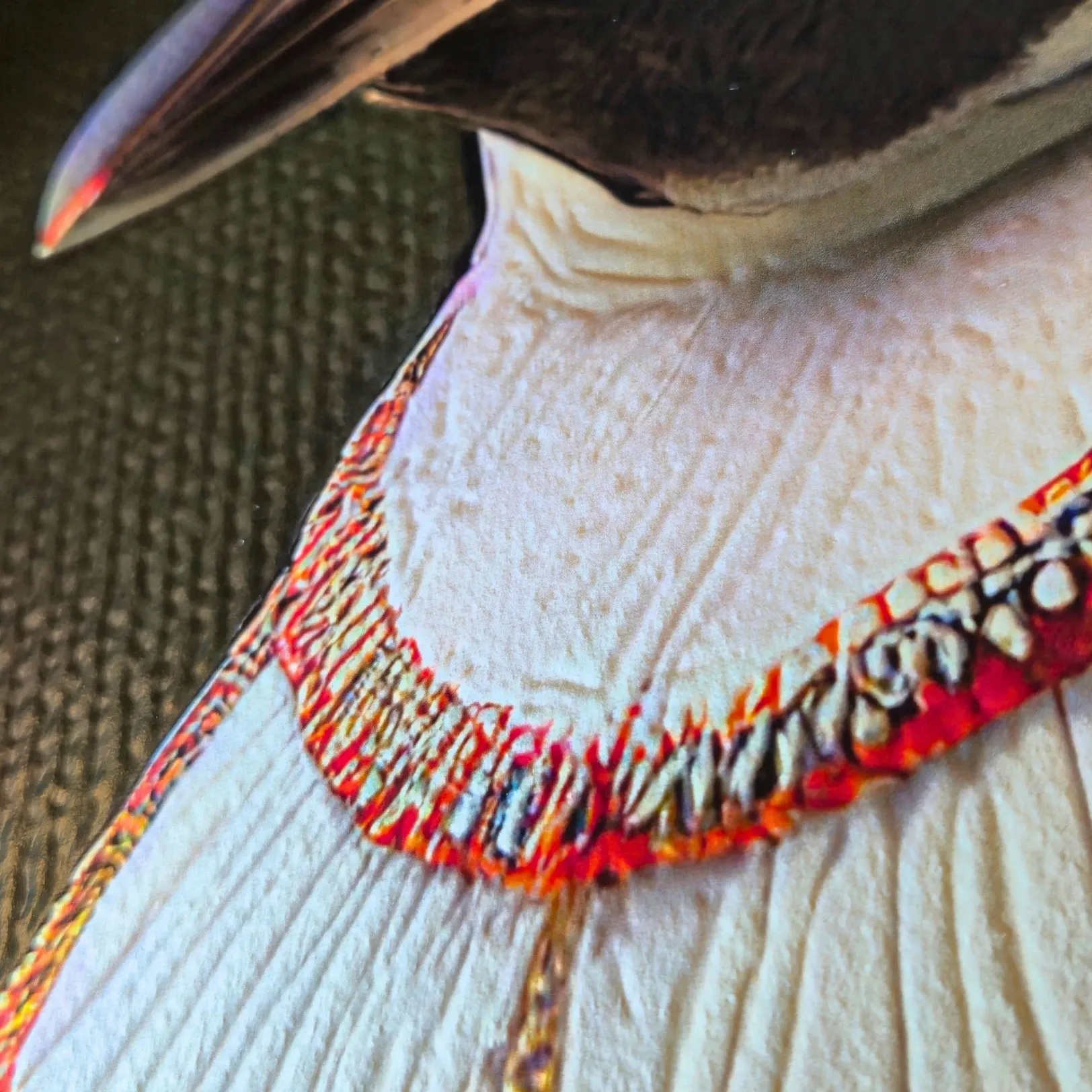 Murales personalizados