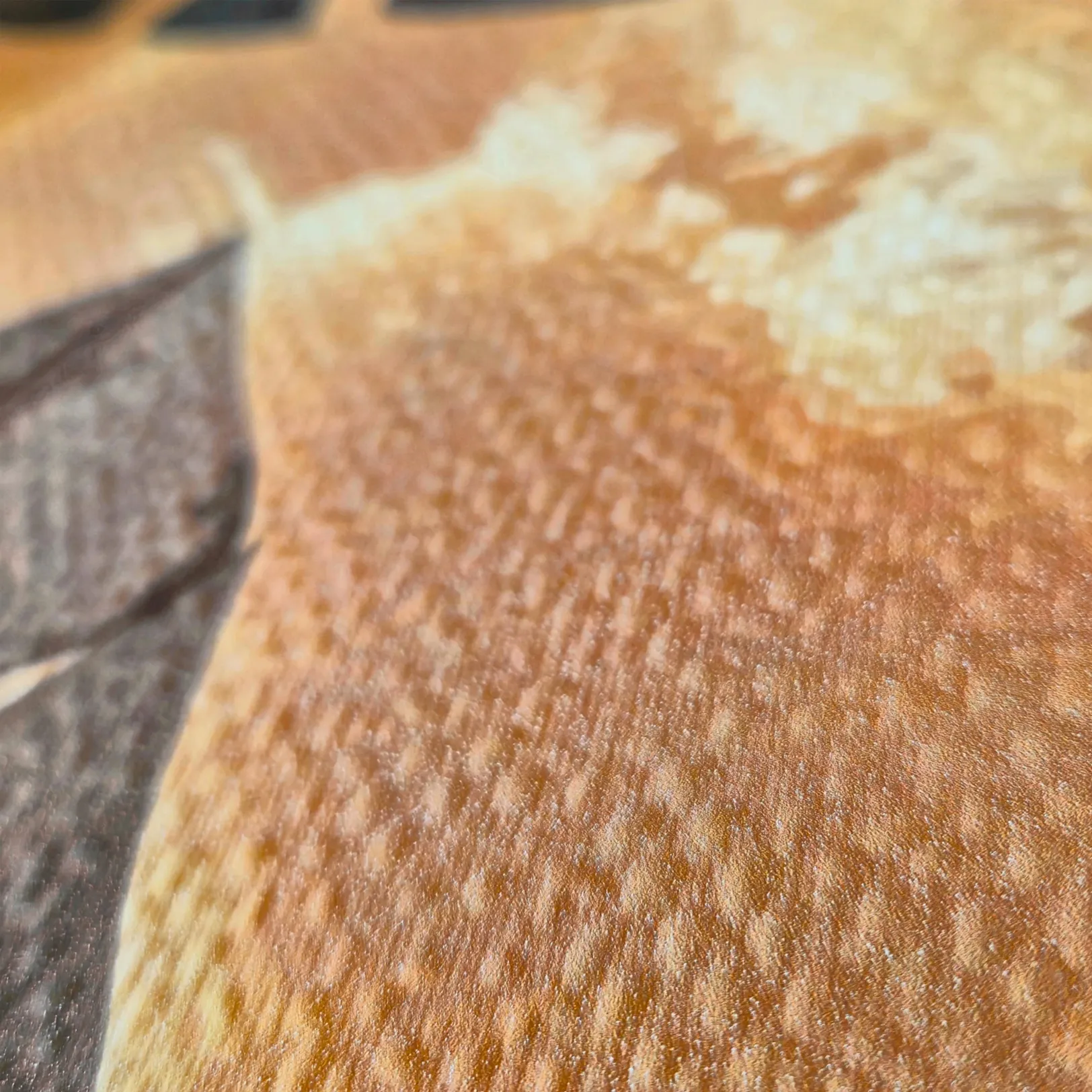 Stands de exposicion