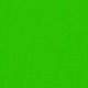 Lime tree green