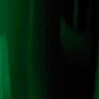 Monstera green