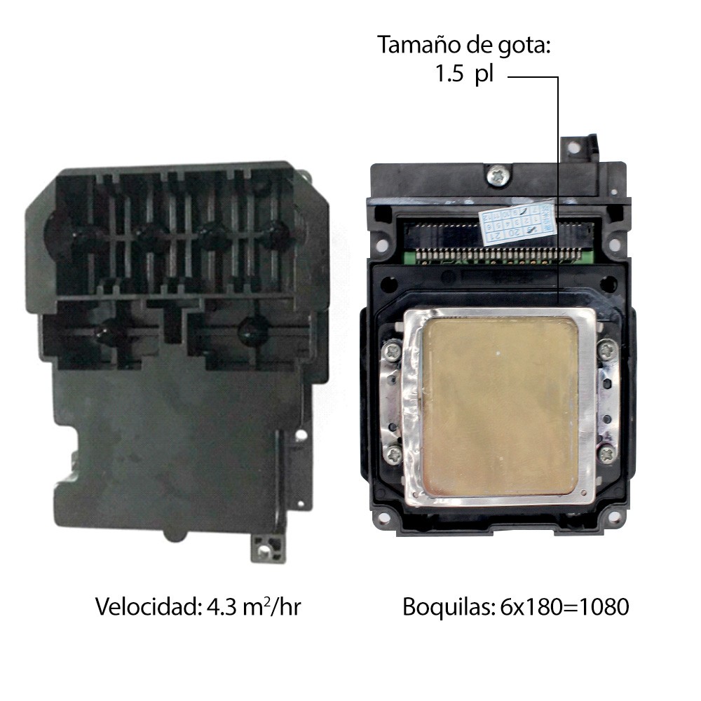 Cabezal Original Epson TX800