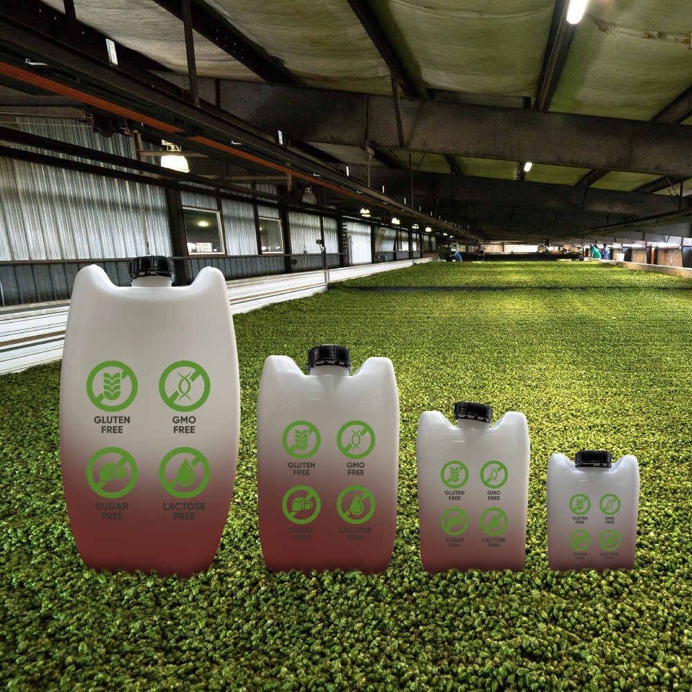 Porrones Rectangulares Graduados con Tapa - Miniatura 23