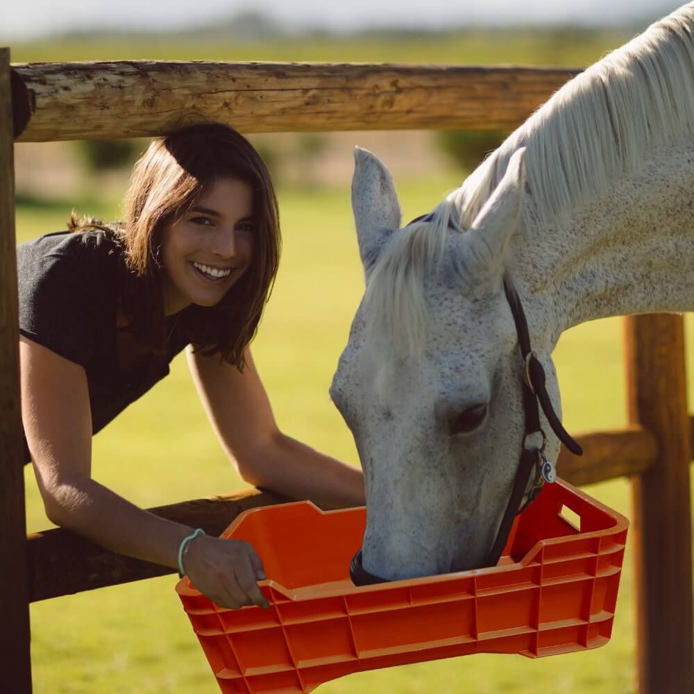 Cesta mediana cerrada línea 0840 - Miniatura 8