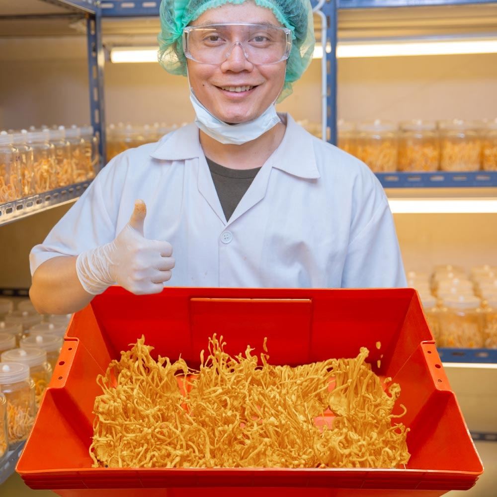 Cesta Montreal tapa línea 0840 - Miniatura 15