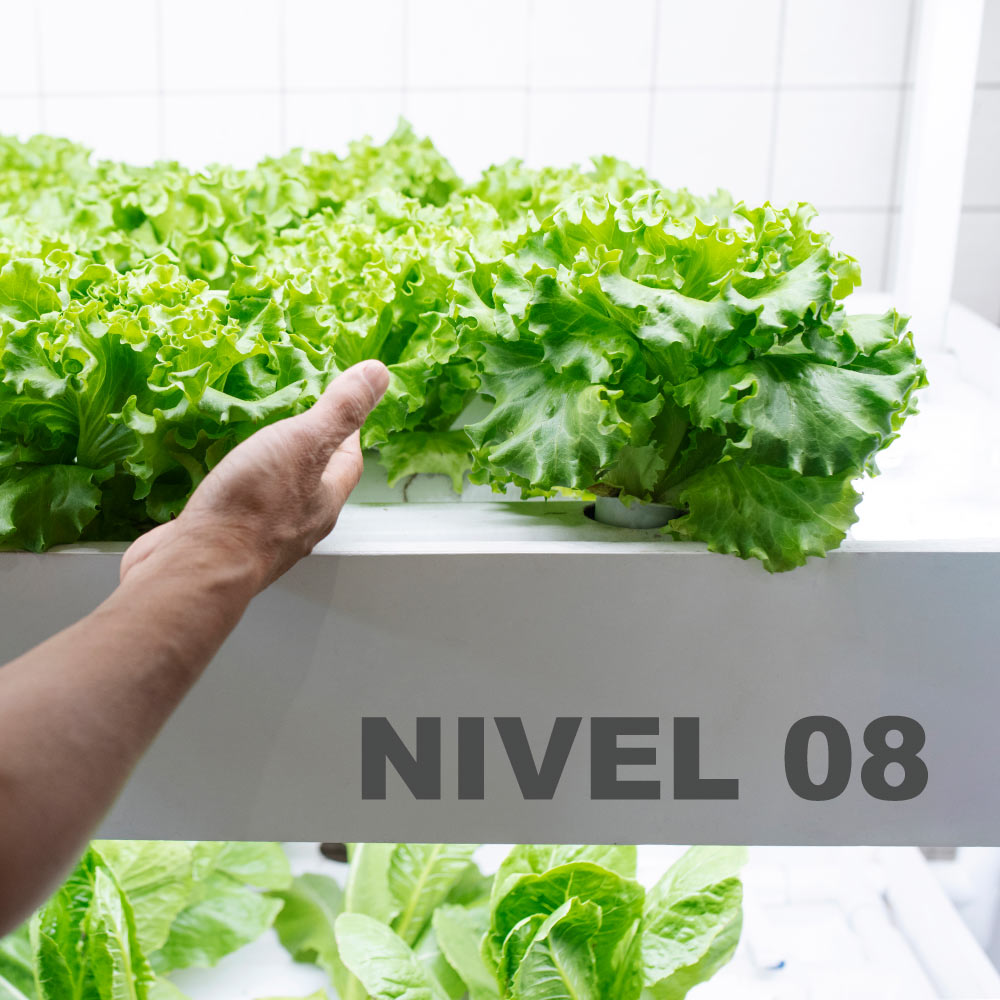 Viniles de corte Oracal 641 colores Brillantes - Miniatura 207