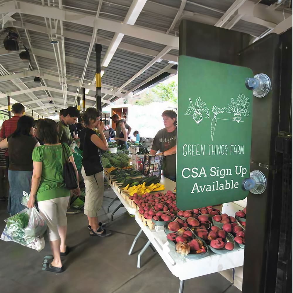 Ventosas para Vidrios - Miniatura 4