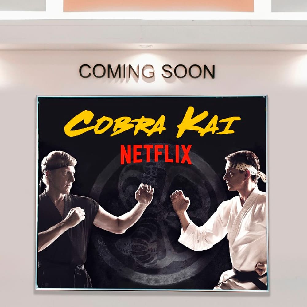 Lengüeta o tira flexible para perfil de aluminio - Miniatura 7