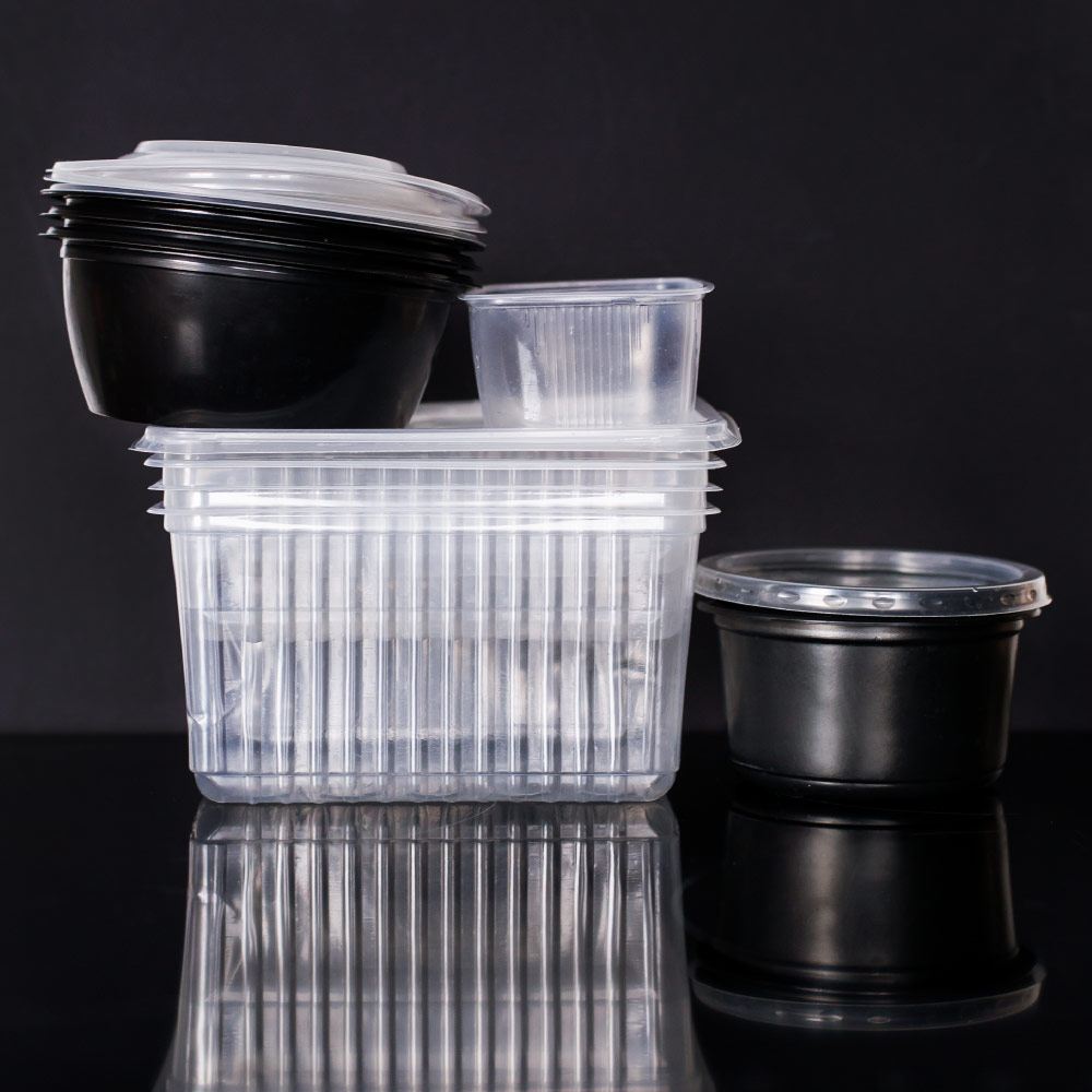 Termo Formadora BSX-1224 - Miniatura 15