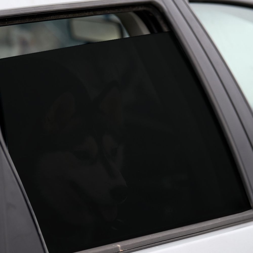 PELICULA POLARIZADO NANOCERAMICA METALICA - Miniatura 5