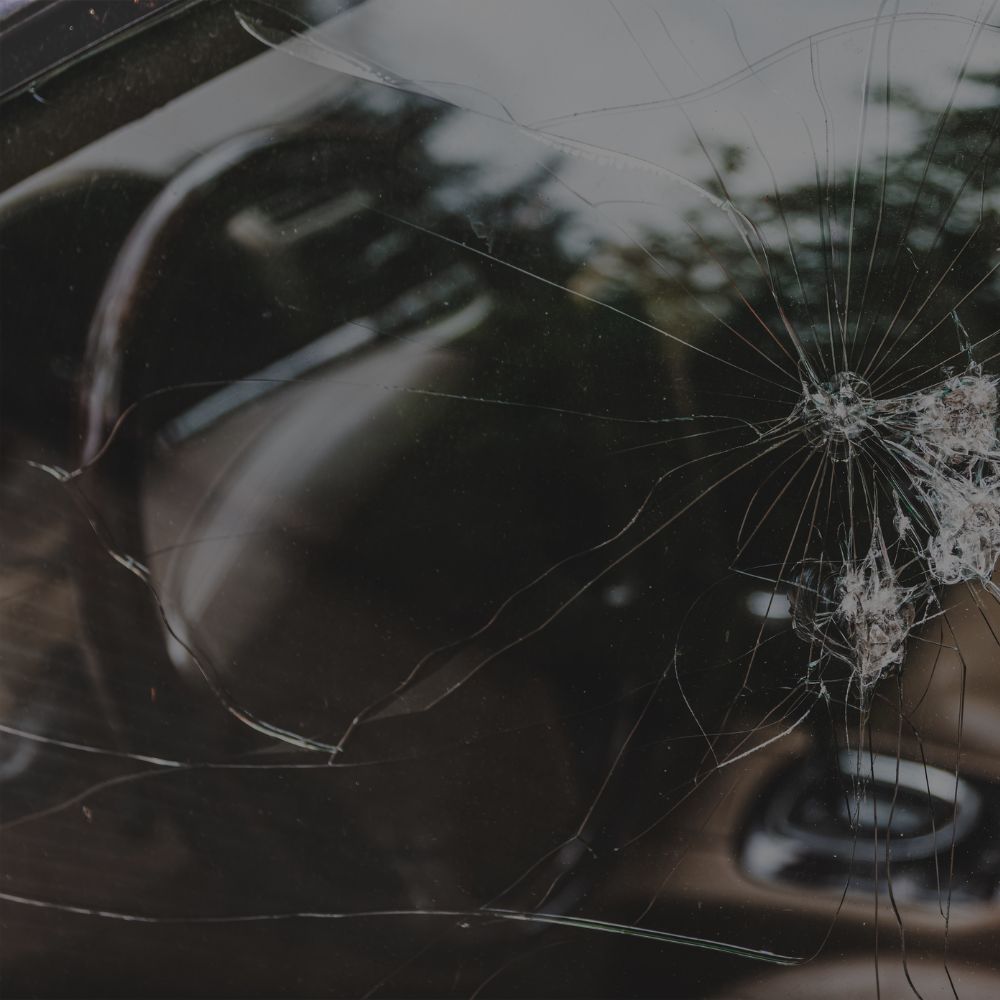 PELICULA POLARIZADO DETENCIÓN DE CRISTALES - Miniatura 4