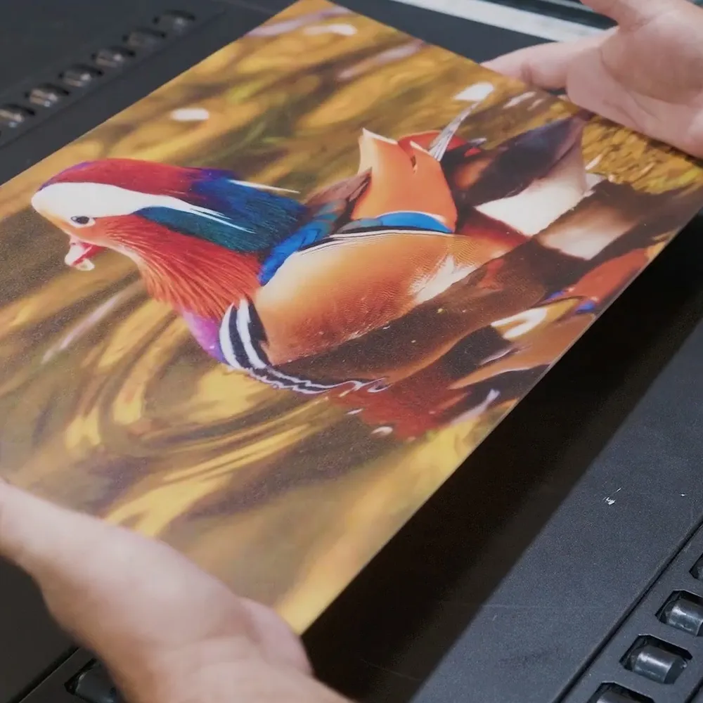 IMPRESORA HIBRIDA HP LATEX R2000 PLUS - Miniatura 9