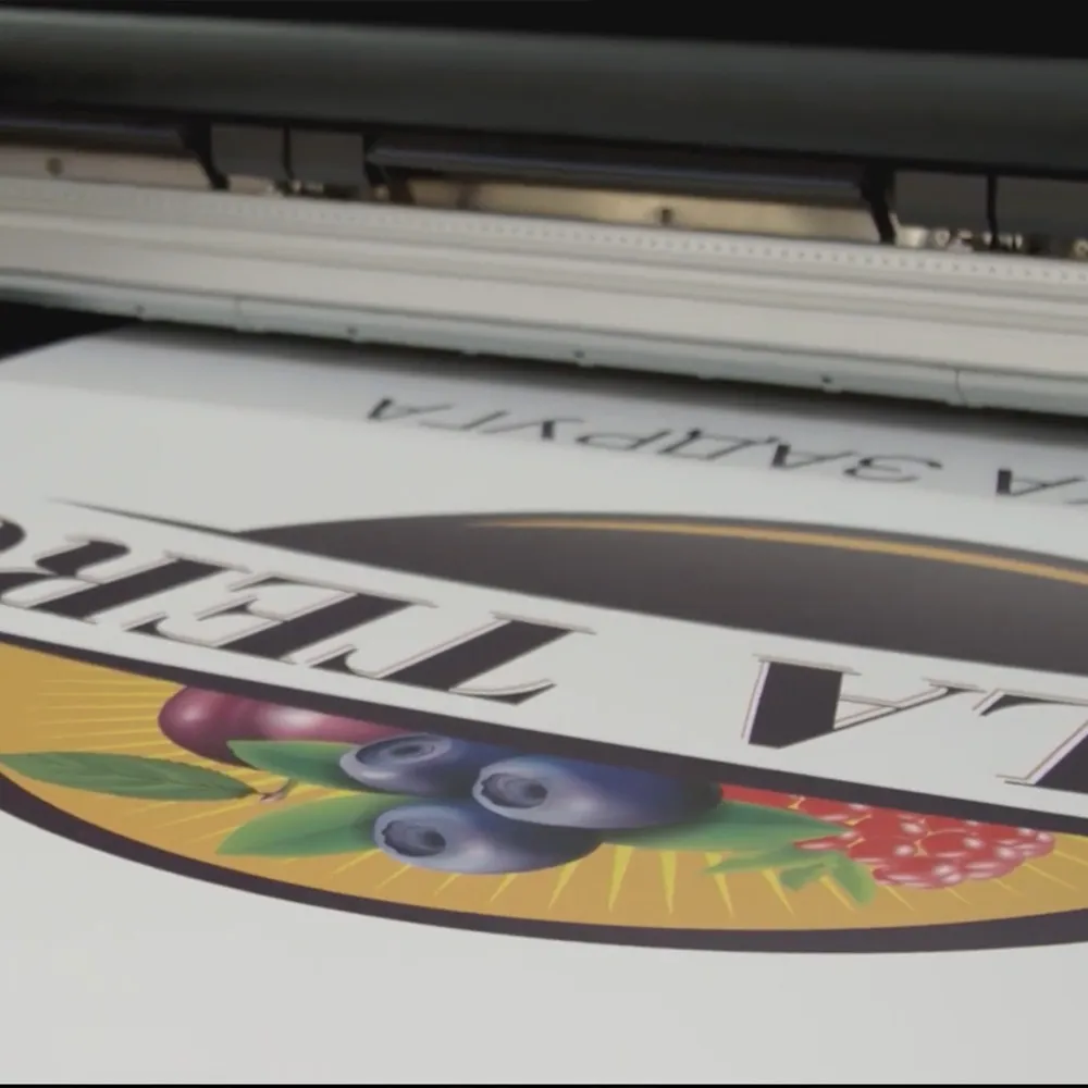 IMPRESORA HIBRIDA HP LÁTEX R1000 - Miniatura 10