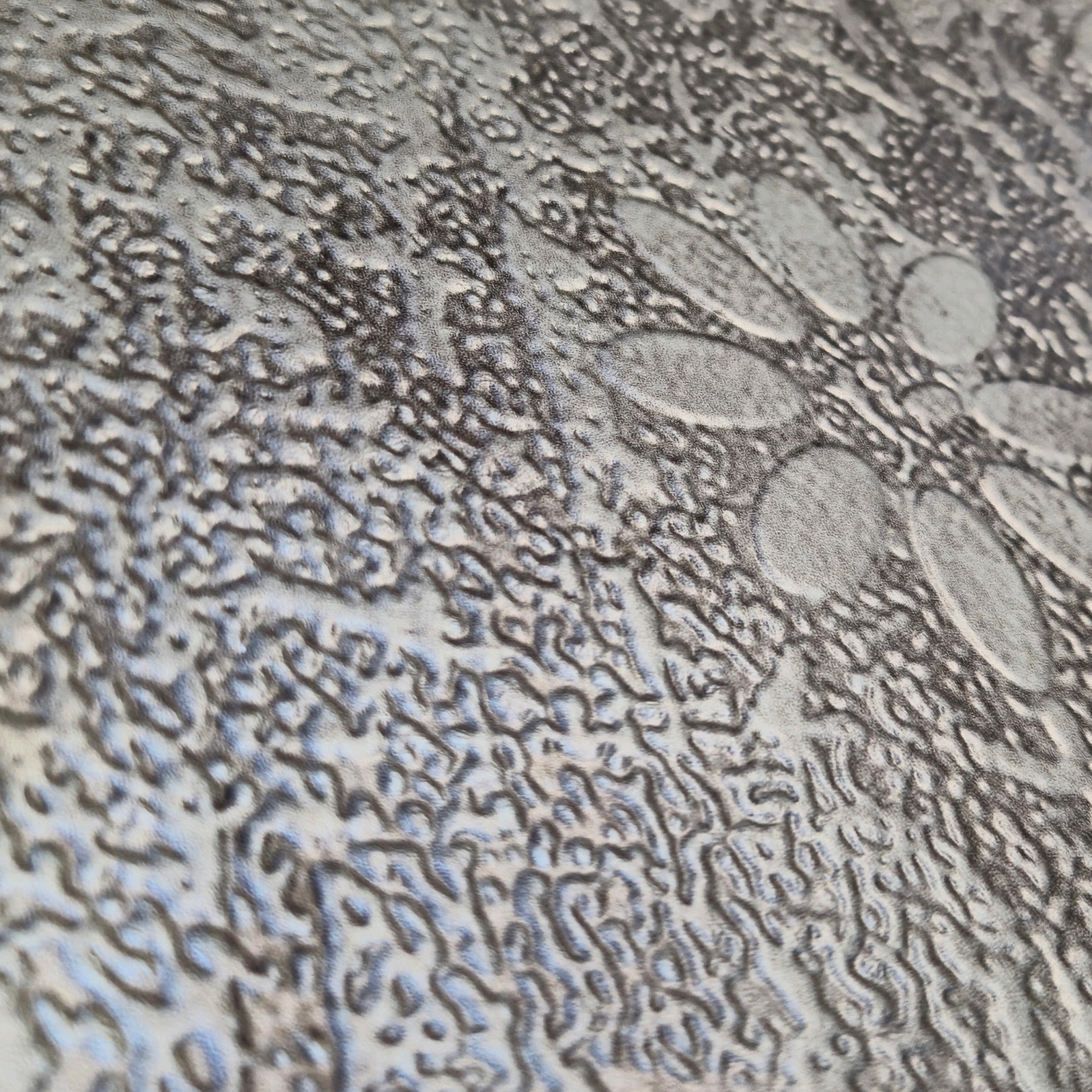 Papel de Impresión Dimense - Miniatura 16